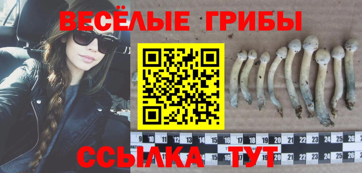 Псилоцибиновые грибы Magic Shrooms Ливны